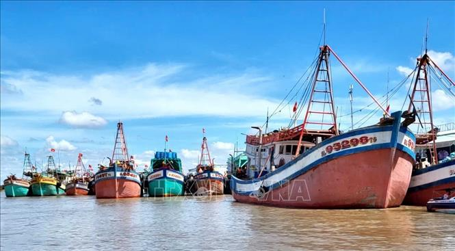 Cà Mau quyết liệt thực hiện nhiều giải pháp nhằm sớm gỡ 'thẻ vàng' IUU