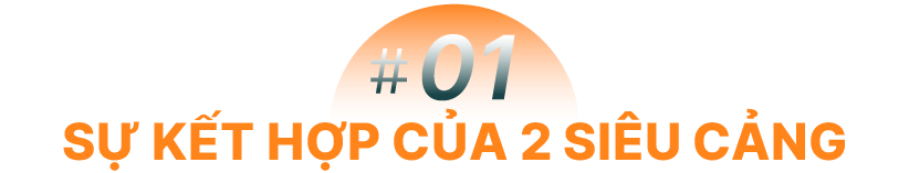 Bài toán phát triển Cần Giờ - Vũng Tàu để TPHCM vươn ra biển - 2