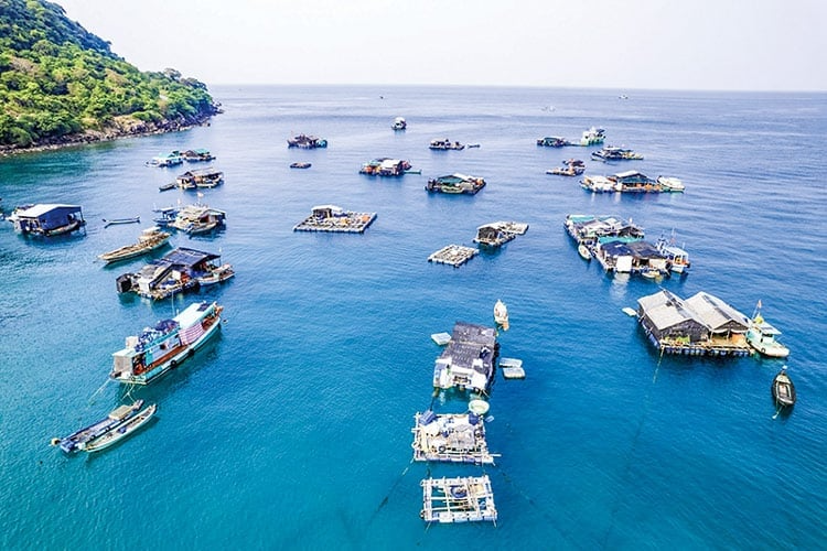 Cấp xã được giao khu vực biển cho cá nhân nuôi trồng thủy sản