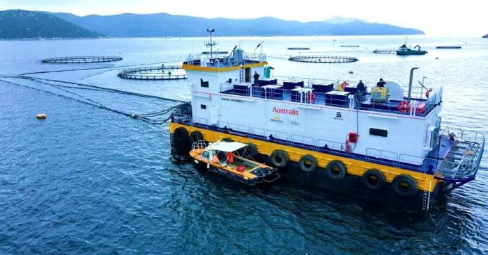 Nuôi biển với “cuộc hẹn” chuyển đổi xanh