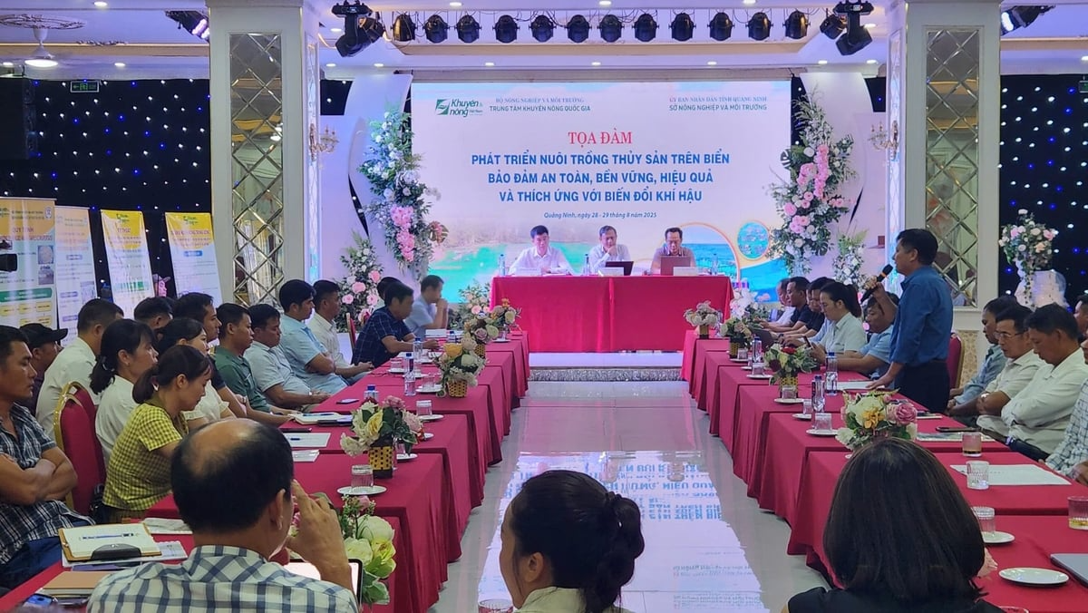 Tìm giải pháp phát triển nuôi biển bền vững