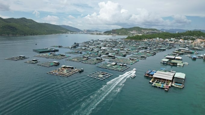 Quy hoạch không gian biển quốc gia đang được triển khai trên cơ sở hệ sinh thái và nhu cầu phát triển, với mục tiêu bảo tồn ít nhất 30% diện tích đại dương đến năm 2030, phù hợp cam kết Liên minh Đại dương Toàn cầu. Ảnh: Hồng Thắm.