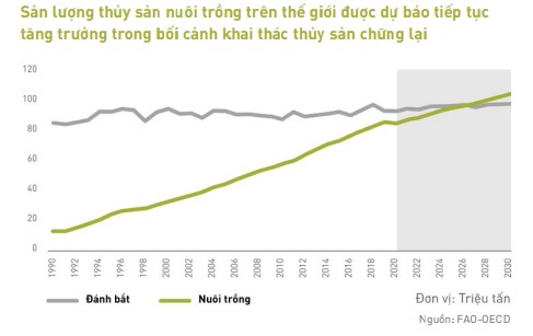 https://storage.thepangroup.vn/Data/2021/11/25/san-luong-thuy-san-nuoi-trong-the-gioi-637734233375724451.jpg