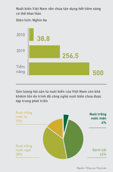 https://storage.thepangroup.vn/Data/2021/11/25/nuoi-bien-viet-nam-637734237226200683.jpg