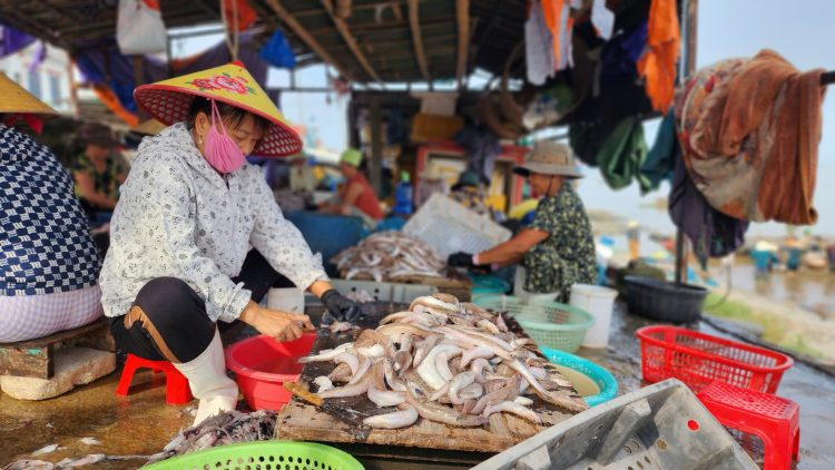 https://bienvietnam.vn/wp-content/uploads/2025/04/a26bee34b26701395876-750x422.jpg