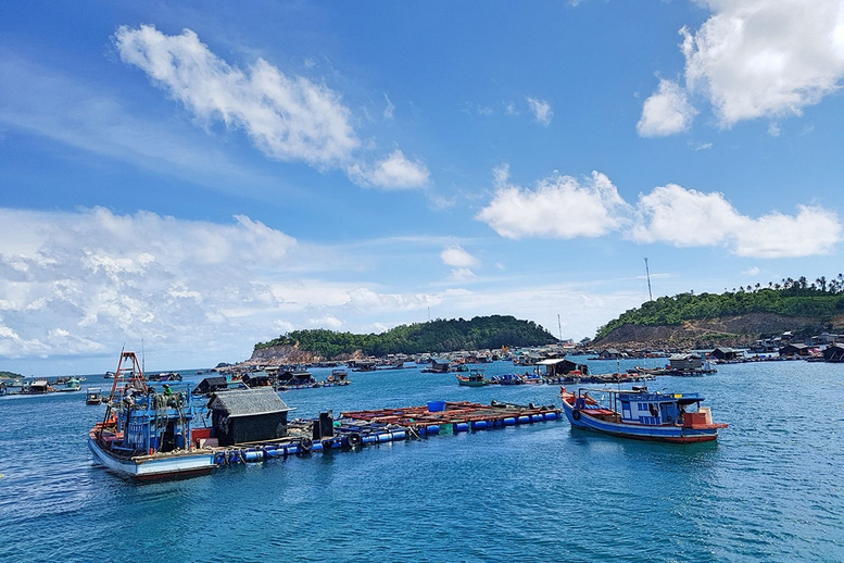 Quy định mới về các trường hợp từ chối giao khu vực biển