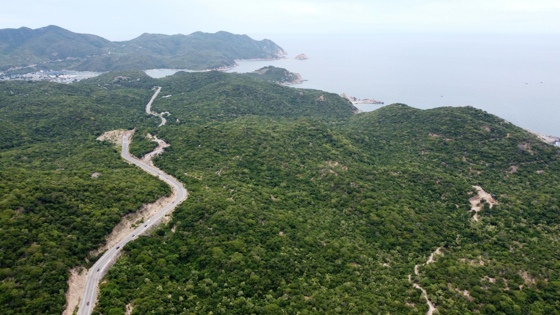 vuon-quoc-gia-nui-chua-1_1791535405.jpg