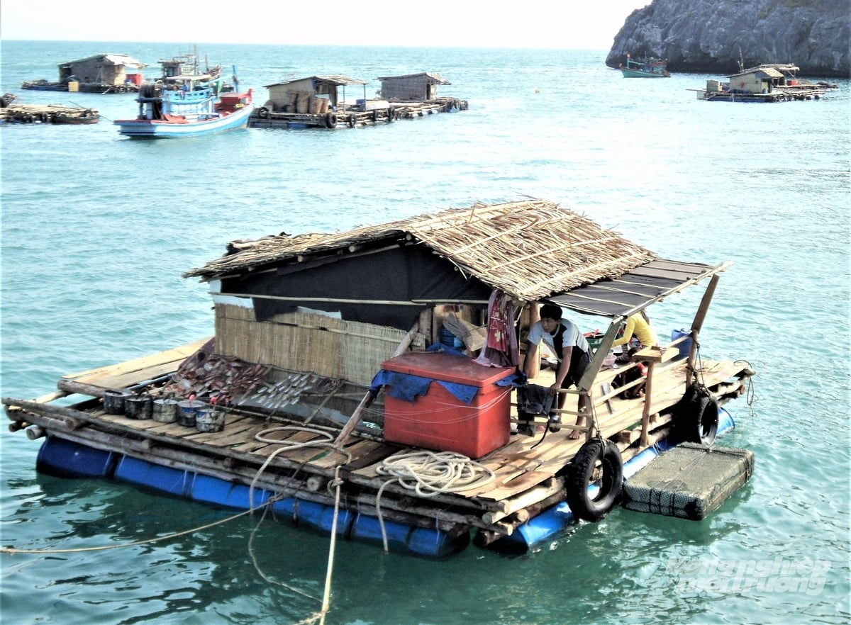 An Giang có tiềm năng lớn để phát triển kinh tế biển, tuy nhiên phần lớn cơ sở nuôi biển hoạt động theo phương thức truyền thống, quy mô nhỏ lẻ, phân tán nên chưa mang lại giá trị kinh tế cao. Ảnh: Trung Chánh.