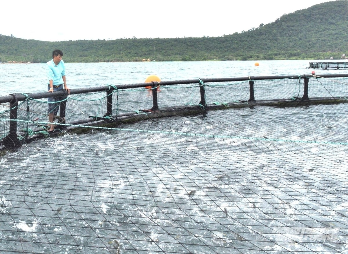 Để phát triển nuôi biển xa bờ cần phải đầu tư công nghệ nuôi hiện đại và phương thức, đối tượng nuôi phù hợp. Ảnh: Trung Chánh.