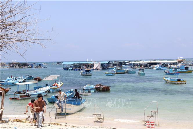 http://vibiendaovietnam.vn/bbpmedia/media/700/2026/5/4/phu-qu-290426-1.jpg