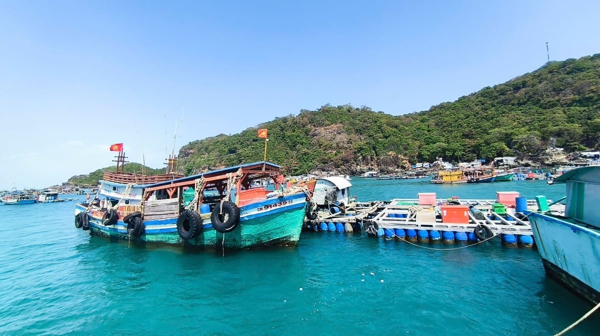 Kinh tế biển tạo động lực tăng trưởng mới cho Cà Mau