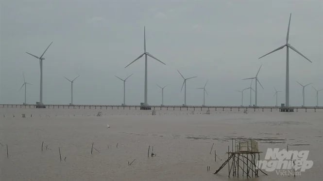 Điện gió ở Sóc Trăng (Hậu Giang). Ảnh: Trọng Linh.