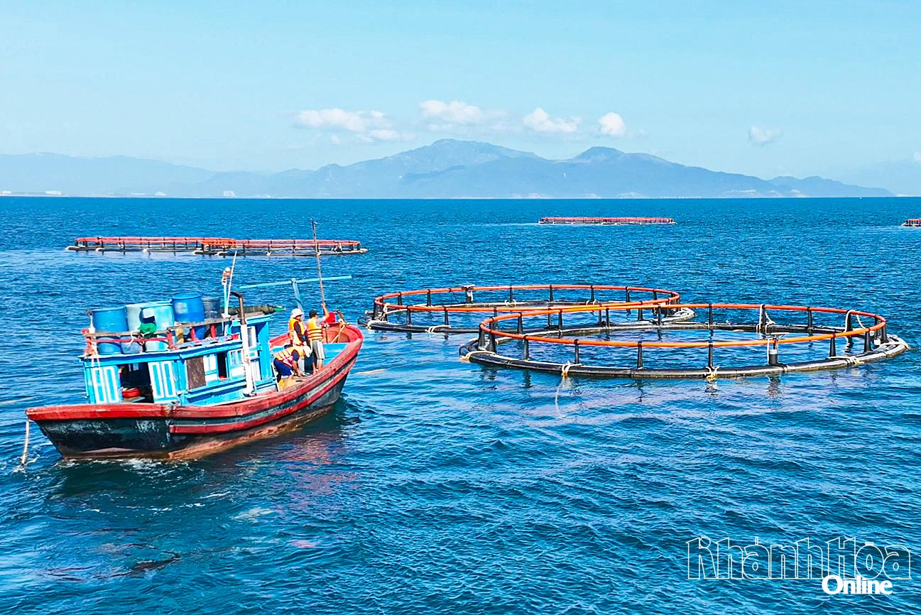 Ứng dụng công nghệ trong kinh tế biển